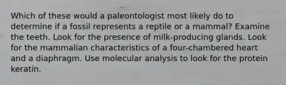 Which of these would a paleontologist most likely do to determine if a fossil represents a reptile or a mammal? Examine the teeth. Look for the presence of milk-producing glands. Look for the mammalian characteristics of a four-chambered heart and a diaphragm. Use molecular analysis to look for the protein keratin.