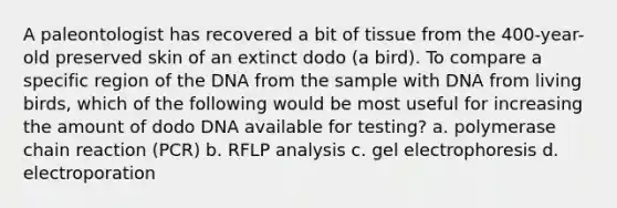 A paleontologist has recovered a bit of tissue from the 400-year-old preserved skin of an extinct dodo (a bird). To compare a specific region of the DNA from the sample with DNA from living birds, which of the following would be most useful for increasing the amount of dodo DNA available for testing? a. polymerase chain reaction (PCR) b. RFLP analysis c. gel electrophoresis d. electroporation