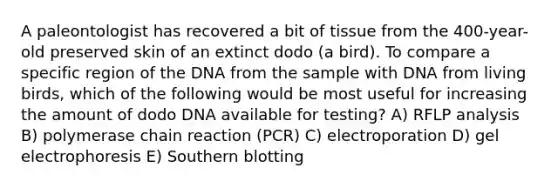 A paleontologist has recovered a bit of tissue from the 400-year-old preserved skin of an extinct dodo (a bird). To compare a specific region of the DNA from the sample with DNA from living birds, which of the following would be most useful for increasing the amount of dodo DNA available for testing? A) RFLP analysis B) polymerase chain reaction (PCR) C) electroporation D) gel electrophoresis E) Southern blotting