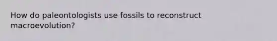 How do paleontologists use fossils to reconstruct macroevolution?