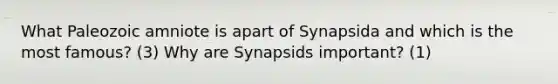 What Paleozoic amniote is apart of Synapsida and which is the most famous? (3) Why are Synapsids important? (1)