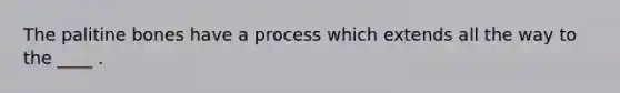 The palitine bones have a process which extends all the way to the ____ .