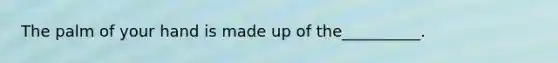 The palm of your hand is made up of the__________.