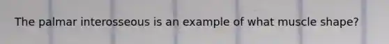The palmar interosseous is an example of what muscle shape?
