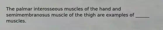 The palmar interosseous muscles of the hand and semimembranosus muscle of the thigh are examples of ______ muscles.