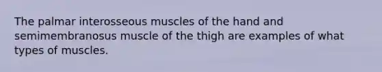 The palmar interosseous muscles of the hand and semimembranosus muscle of the thigh are examples of what <a href='https://www.questionai.com/knowledge/kW1X1fnBL8-types-of-muscles' class='anchor-knowledge'>types of muscles</a>.