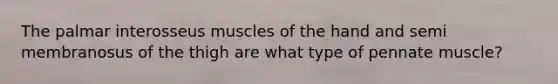The palmar interosseus muscles of the hand and semi membranosus of the thigh are what type of pennate muscle?