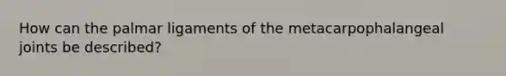 How can the palmar ligaments of the metacarpophalangeal joints be described?