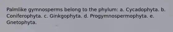 Palmlike gymnosperms belong to the phylum: a. Cycadophyta. b. Coniferophyta. c. Ginkgophyta. d. Progymnospermophyta. e. Gnetophyta.