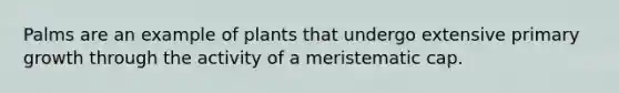 Palms are an example of plants that undergo extensive primary growth through the activity of a meristematic cap.