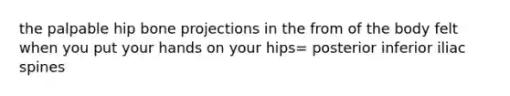 the palpable hip bone projections in the from of the body felt when you put your hands on your hips= posterior inferior iliac spines