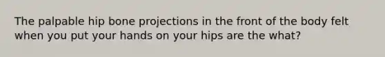 The palpable hip bone projections in the front of the body felt when you put your hands on your hips are the what?