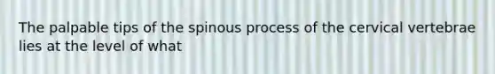 The palpable tips of the spinous process of the cervical vertebrae lies at the level of what