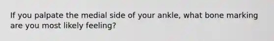 If you palpate the medial side of your ankle, what bone marking are you most likely feeling?