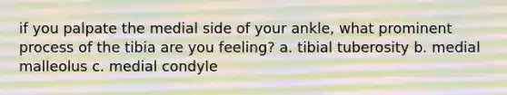 if you palpate the medial side of your ankle, what prominent process of the tibia are you feeling? a. tibial tuberosity b. medial malleolus c. medial condyle