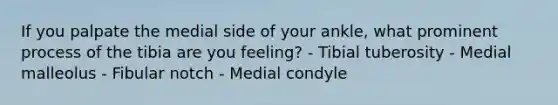 If you palpate the medial side of your ankle, what prominent process of the tibia are you feeling? - Tibial tuberosity - Medial malleolus - Fibular notch - Medial condyle