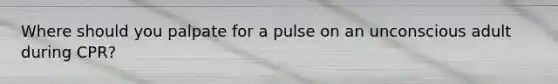 Where should you palpate for a pulse on an unconscious adult during CPR?