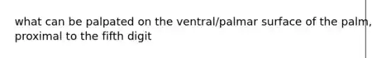 what can be palpated on the ventral/palmar surface of the palm, proximal to the fifth digit