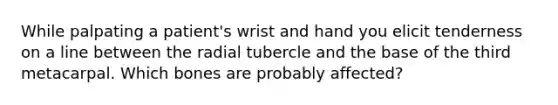 While palpating a patient's wrist and hand you elicit tenderness on a line between the radial tubercle and the base of the third metacarpal. Which bones are probably affected?