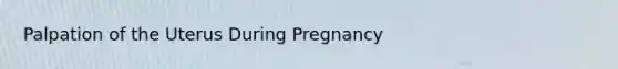 Palpation of the Uterus During Pregnancy