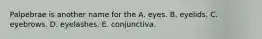 Palpebrae is another name for the A. eyes. B. eyelids. C. eyebrows. D. eyelashes. E. conjunctiva.