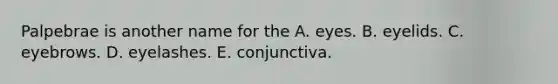 Palpebrae is another name for the A. eyes. B. eyelids. C. eyebrows. D. eyelashes. E. conjunctiva.