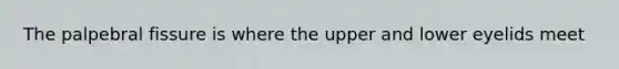 The palpebral fissure is where the upper and lower eyelids meet