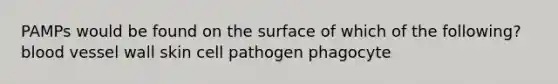 PAMPs would be found on the surface of which of the following? blood vessel wall skin cell pathogen phagocyte