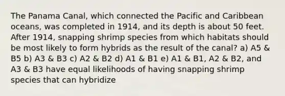 The Panama Canal, which connected the Pacific and Caribbean oceans, was completed in 1914, and its depth is about 50 feet. After 1914, snapping shrimp species from which habitats should be most likely to form hybrids as the result of the canal? a) A5 & B5 b) A3 & B3 c) A2 & B2 d) A1 & B1 e) A1 & B1, A2 & B2, and A3 & B3 have equal likelihoods of having snapping shrimp species that can hybridize