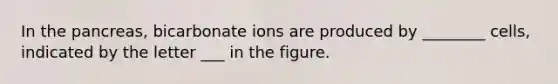 In the pancreas, bicarbonate ions are produced by ________ cells, indicated by the letter ___ in the figure.