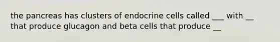 the pancreas has clusters of endocrine cells called ___ with __ that produce glucagon and beta cells that produce __