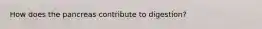 How does the pancreas contribute to digestion?