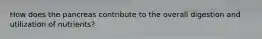 How does the pancreas contribute to the overall digestion and utilization of nutrients?