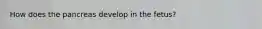How does the pancreas develop in the fetus?