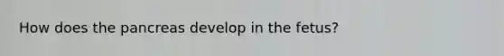 How does the pancreas develop in the fetus?