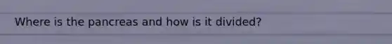 Where is the pancreas and how is it divided?