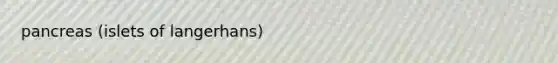 pancreas (islets of langerhans)