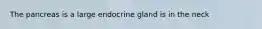 The pancreas is a large endocrine gland is in the neck