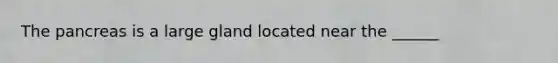 The pancreas is a large gland located near the ______