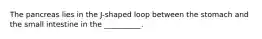 The pancreas lies in the J-shaped loop between the stomach and the small intestine in the __________.