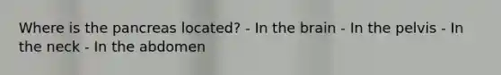 Where is the pancreas located? - In the brain - In the pelvis - In the neck - In the abdomen