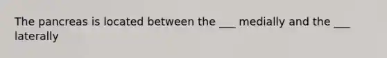 The pancreas is located between the ___ medially and the ___ laterally