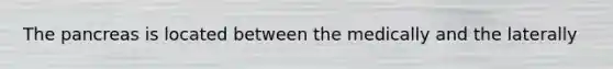 The pancreas is located between the medically and the laterally