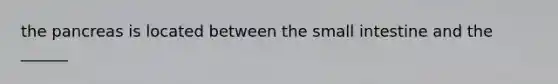 the pancreas is located between the small intestine and the ______