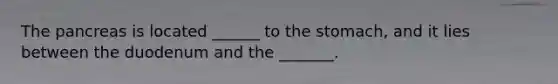 The pancreas is located ______ to the stomach, and it lies between the duodenum and the _______.