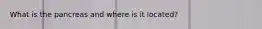 What is the pancreas and where is it located?