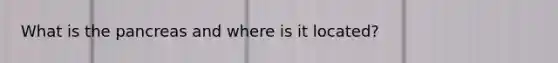 What is the pancreas and where is it located?