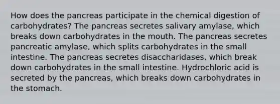 How does the pancreas participate in the chemical digestion of carbohydrates? The pancreas secretes salivary amylase, which breaks down carbohydrates in the mouth. The pancreas secretes pancreatic amylase, which splits carbohydrates in the small intestine. The pancreas secretes disaccharidases, which break down carbohydrates in the small intestine. Hydrochloric acid is secreted by the pancreas, which breaks down carbohydrates in the stomach.