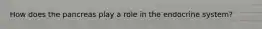 How does the pancreas play a role in the endocrine system?