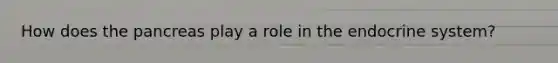 How does the pancreas play a role in the endocrine system?